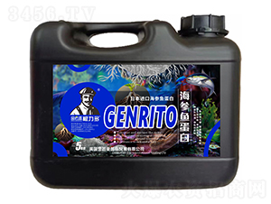 �ձ��M(j��n)�ں����~����-������-����