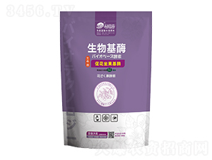 �ٻ�������ø500g-���_��